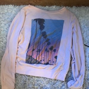 Wildfox sweatshirt